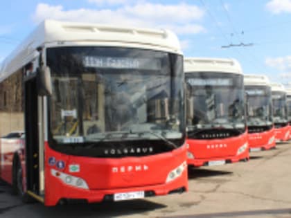 Изменения в расписании автобусных маршрутов Перми