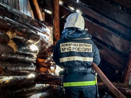 В Пермском крае на пожарах погибло два человека