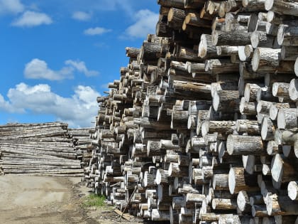 Осуждение за нарушение правил контрактования