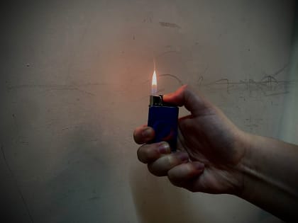 В Перми за сутки 6 раз горел тополиный пух