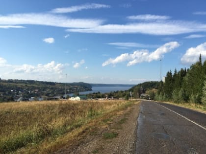 В Прикамье сбили трех лосей