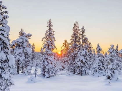 В Пермском крае на этой неделе ожидается потепление до -3 градусов и ветер