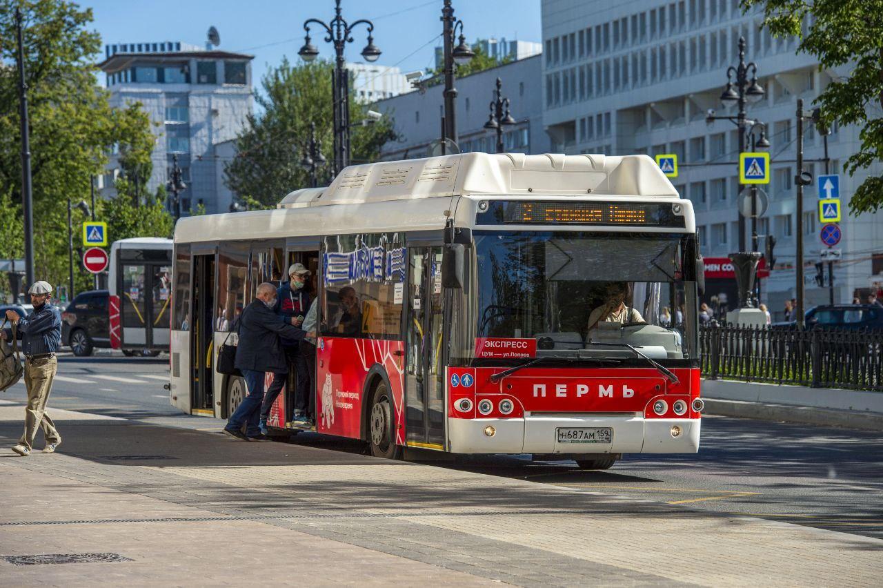 11 автобус пермь. Автобус в городе. Новый транспорт. Пермский автобус. Новые автобусы.