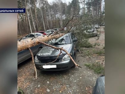 В городах и районах Алтайского края ликвидируют последствия разгула стихии