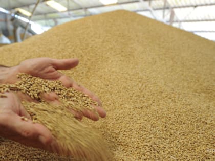 Кредиты не давят, но цены на продукцию не радуют