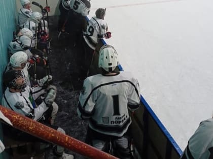 Бийские хоккеисты обыграли новоалтайцев