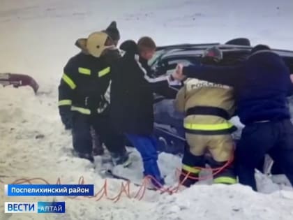 Шесть человек погибли в страшной автокатастрофе на трассе Барнаул-Рубцовск