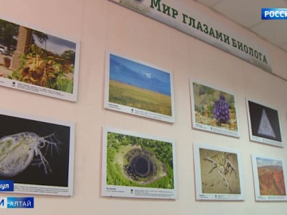 В АГУ подвели итоги конкурса «Мир глазами биологов»