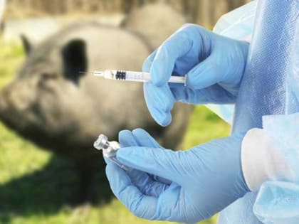 По вопросам оказания учреждениями государственной ветеринарной службы Алтайского края платных ветеринарных услуг