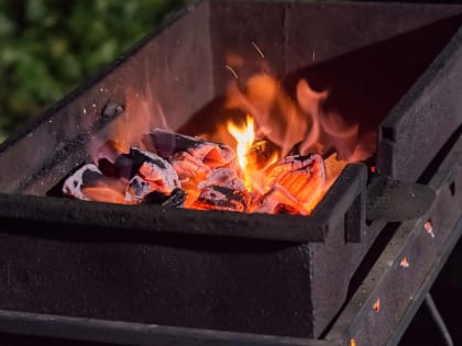 Жителям Алтайского края запретили устраивать пикники в лесах