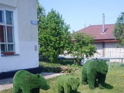 Мишки вернулись