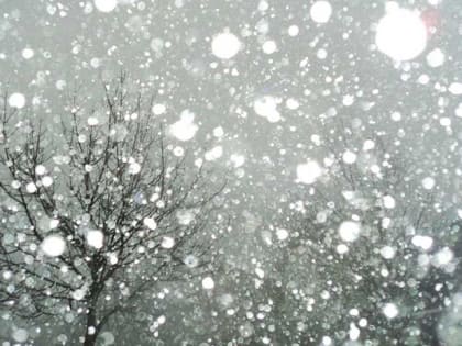 Ожидается ветреная погода, осадки и гололёд