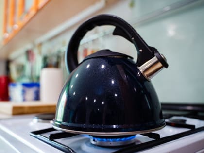 Техническое обслуживание в газифицированных домах и квартирах смогут проводить только газораспределительные организации