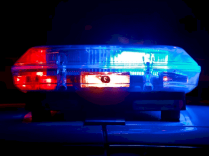 Кадыров заявил, что даже половина российских силовиков «снесет любую западную армию»