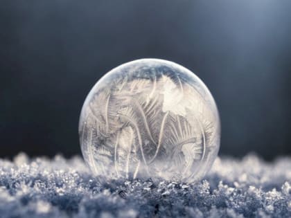 Такой день. Сложный пожар на шинном заводе в Барнауле и перевыборы ректора АлтГТУ