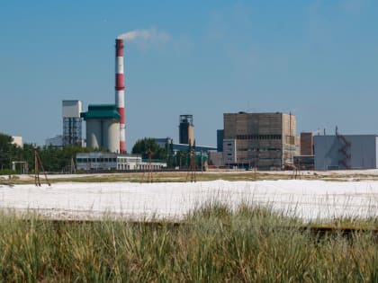 "Кучуксульфат" у государства выкупила компания, зашедшая в Барнауле на "Нортек"