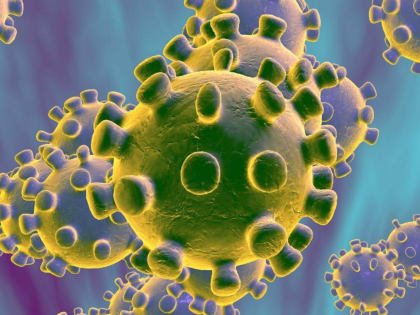 За минувшие сутки в крае зарегистрировано 499 новых случаев заболевания