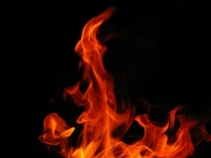 Житель Алтая сжег паспорт бросившей его жены, чтобы "стереть" воспоминания