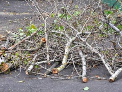 О содержании дорог в городе Рубцовске