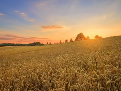 Поздравление от депутата Государственной Думы Ивана Лоора с 85-летием Алтайского края