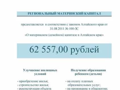 Куда направили средства маткапитала?
