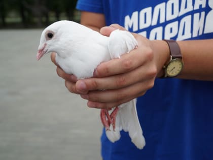 Активисты «Молодой Гвардии Единой России» Алтайского края приняли участие в акции, посвященной памяти детей, погибших от рук укронацистов на Донбассе