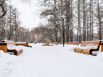 9 января в Алтайском крае сохранится теплая и снежная погода