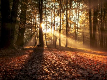 Такой день. Последний день выборов и смерть члена УИК в Алтайском крае