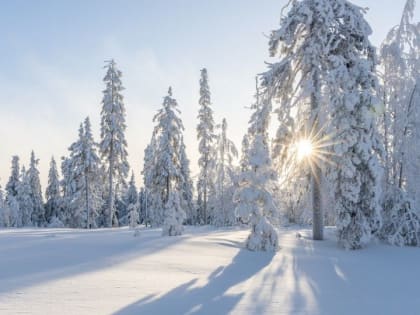 От -28 до -5 градусов ожидается 10 декабря в Алтайском крае