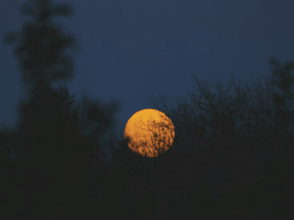 Такой день. «Уральские пельмени» в боулинге и повышение зарплат депутатам