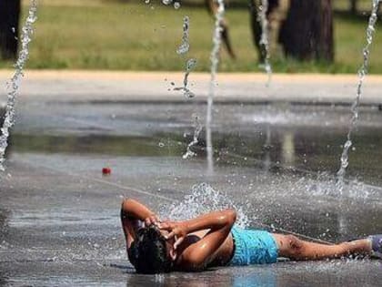 Аномальная жара побила исторические рекорды в Алтайском крае