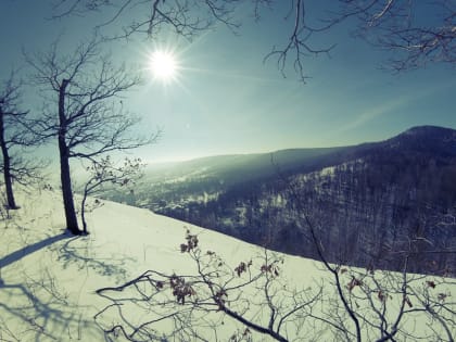 В Алтайском крае и Рубцовске по ночам морозно: погода на 3 дня