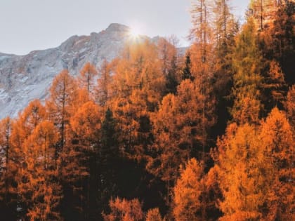 Такой день. Обращение военного комиссара Алтайского края и центр помощи моб