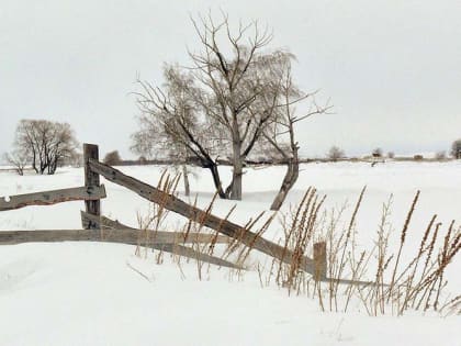 Мокрый снег и метели ожидаются в Алтайском крае 4 декабря