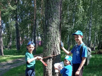 География: четыре сезона