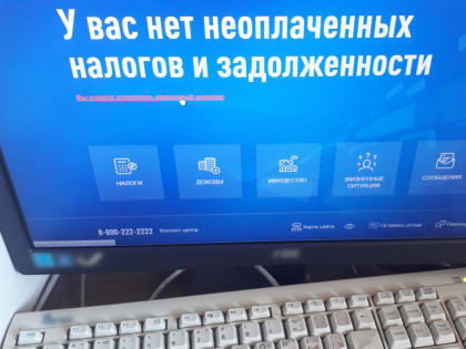 Большинство жителей Алтайского края заплатили имущественные налоги вовремя