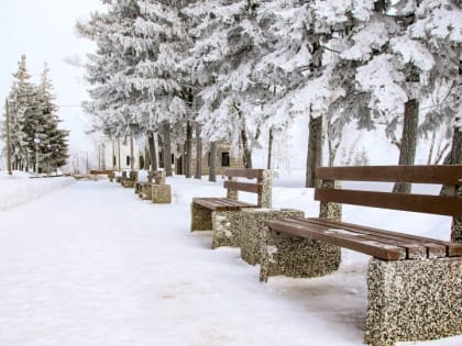 До -25 градусов похолодает в Алтайском крае 20 января