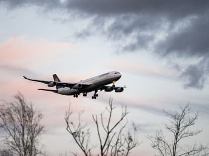 В Республике Алтай возобновят внутреннее авиасообщение