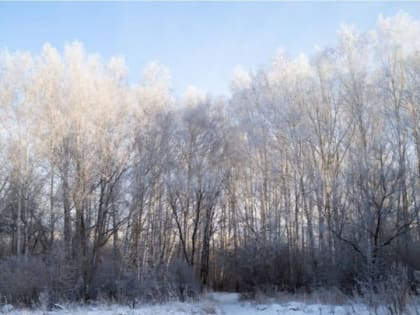 От -27 до -10 градусов ожидается 11 января в Алтайском крае