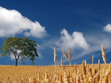 Сибирь остаётся 18 сентября под влиянием обширного антициклона