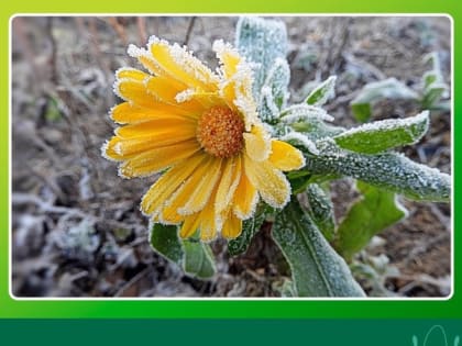 ШТОРМОВОЕ ПРЕДУПРЕЖДЕНИЕ