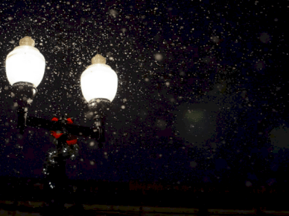 Такой день. Травмирование актрисы в барнаульском театре и риск исчезновения воробьёв