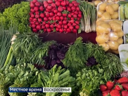 Этим летом вместо Сочи и Крыма туристы могут прекрасно отдохнуть в Армении и Абхазии