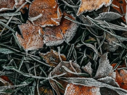 Стало известно, когда волна тепла в Алтайском крае сменится заморозками