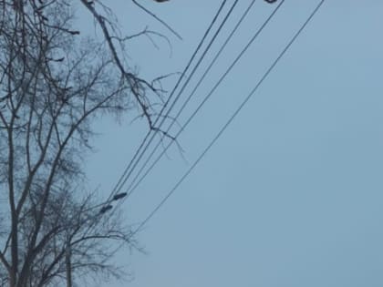 Дорожная служба проводит работы по очистке улично-дорожной сети города