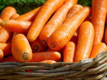 Алтайский проктолог рассказал о неожиданных находках внутри пациентов