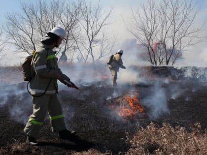 МЧС напоминает о запрете шашлыков на костре и недопустимости сжигания сухой травы