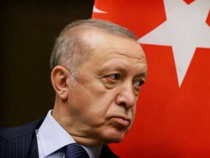 Эрдоган призвал Украину пресечь перепродажу оружия курдам
