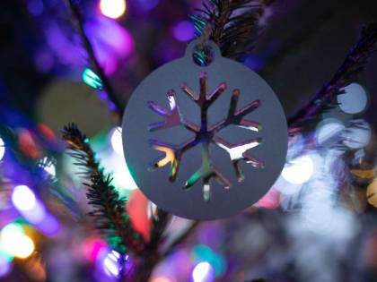 Катки и театры. Куда сходить в Барнауле на январских праздниках