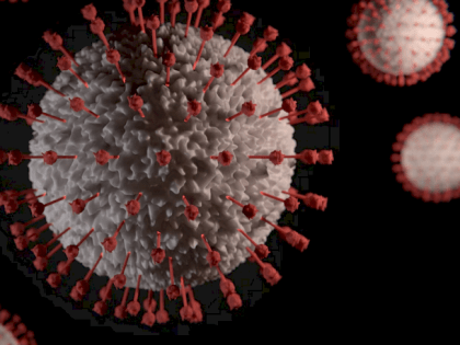 Заразный «цербер». В России выявили два новых варианта ковида с улучшенным обходом коллективного иммунитета